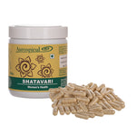 AUROSPIRUL Shatavari 500 kapsulių