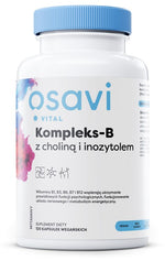 Osavi kompleksas-B su cholinu ir inozitoliu 120 kapsulių