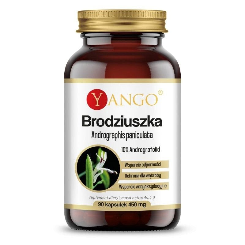 Yango Brodziuszka – Andrographis 90 kap.