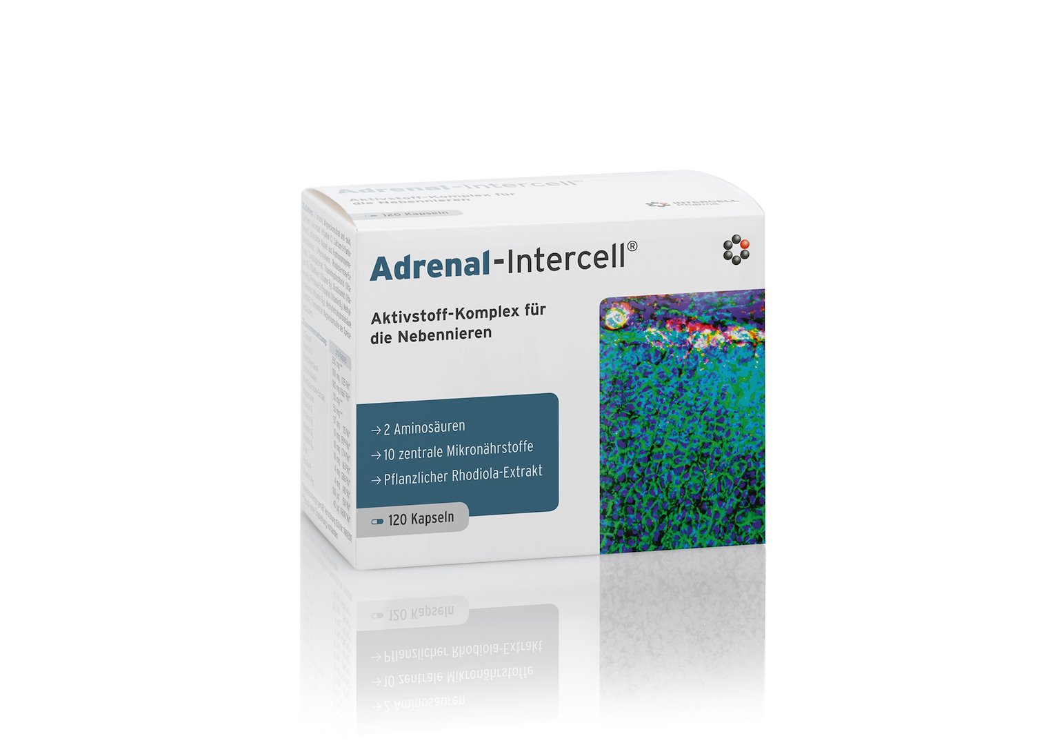 INTERCELL PHARMA Antinksčių-Intercell 120 kapsulių