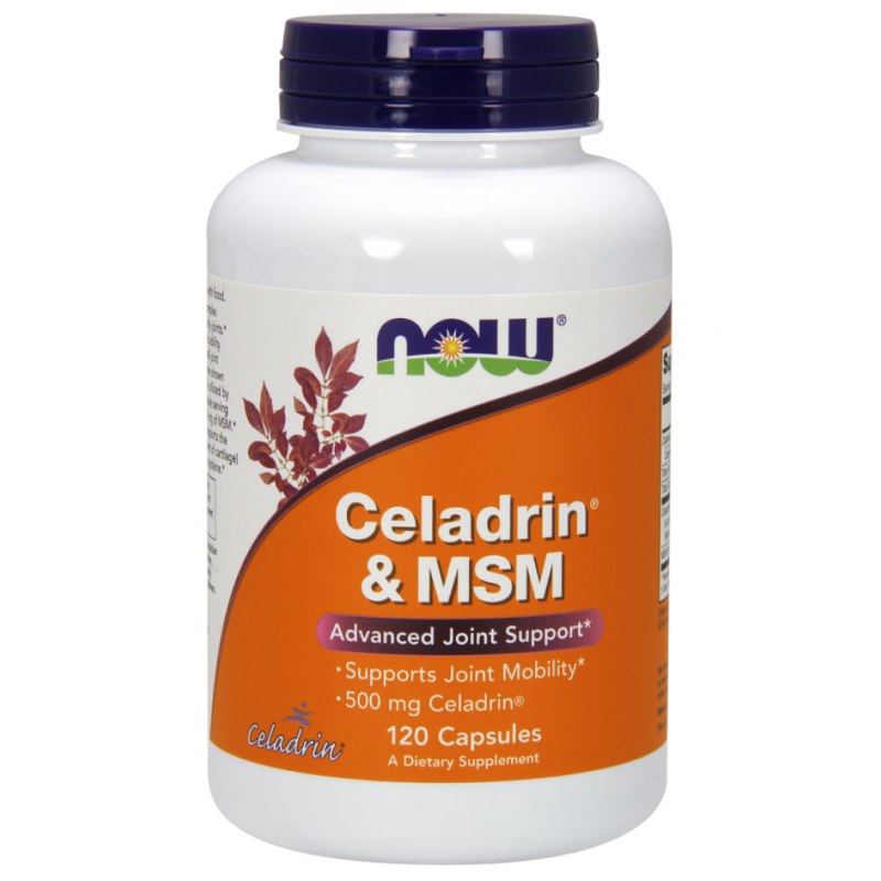 NOW FOODS Celadrin 500 mg ir MSM 100 mg 120 kapsulių