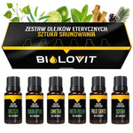 Bilovit eterinių aliejų rinkinys - Sauningo menas