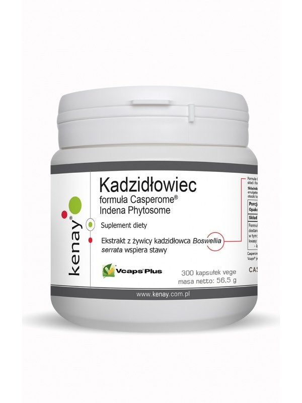 KENAY Smilkalų aliejus Casperome Indena Phytosome 300 kapsulių