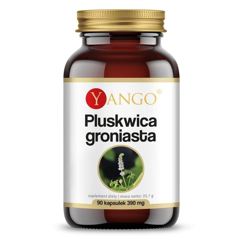 Yango juodoji šeivamedžio šaknis 90 kapsulių