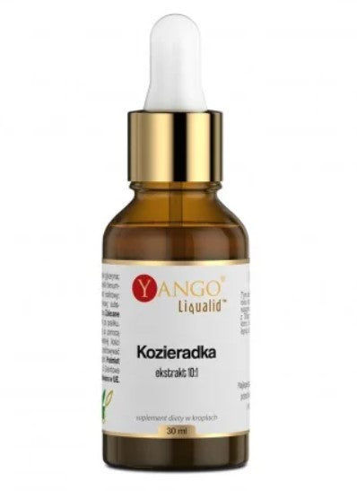 Yango ožragės ekstraktas 10:1 30 ml
