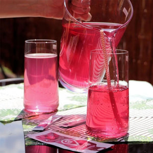 Bolero Drink Mix 24 skonių paketėlių rinkinys - 3 g