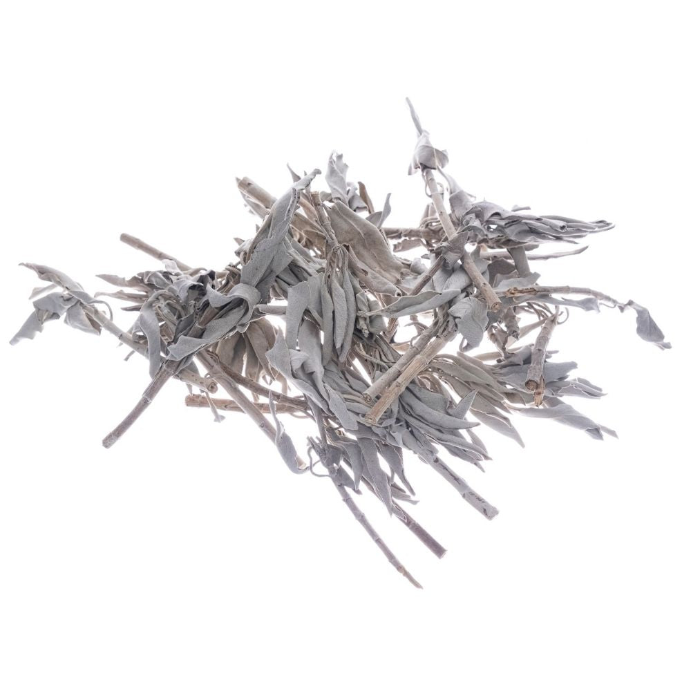 Bilovit - Baltojo šalavijo lapai 100 g / Bilovit Baltojo šalavijo lapai - 100 g