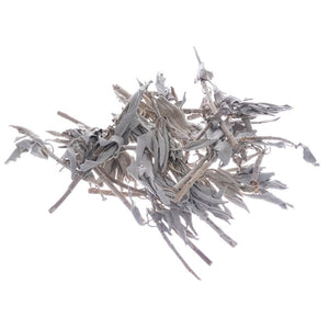 Bilovit - Baltojo šalavijo lapai 100 g / Bilovit Baltojo šalavijo lapai - 100 g