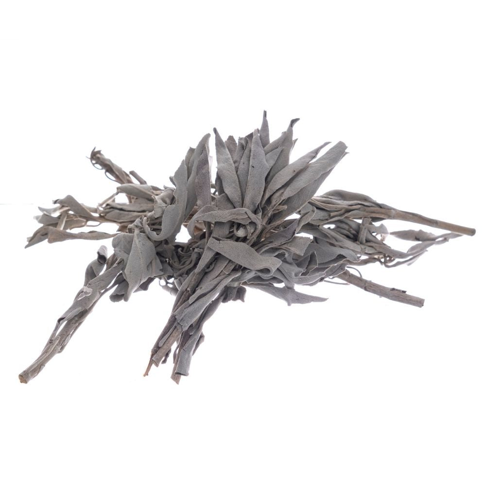 Bilovit - Baltojo šalavijo lapai 50g / Bilovit Baltojo šalavijo lapai - 50 g