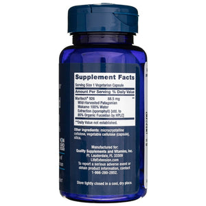 Life Extension optimizuotas fukoidanas su Maritech® 926 - 60 kapsulių
