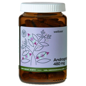 Wellbear Andrographis 480 mg - 60 kapsulių