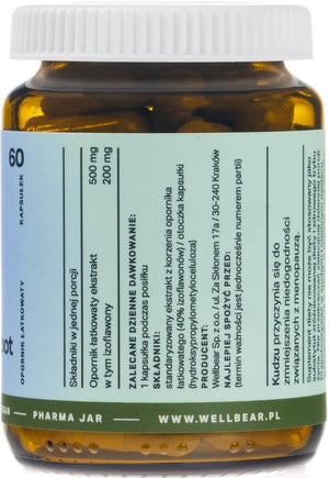 Wellbear Kudzu 500 mg - 60 kapsulių
